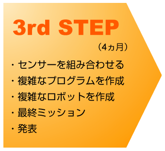 STEP3